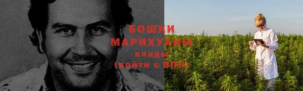 молекула духа Лабытнанги
