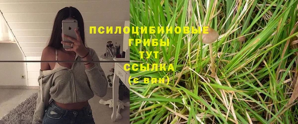 стафф Ладушкин
