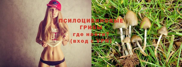 молекула духа Лабытнанги