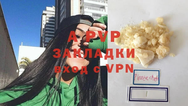 стафф Ладушкин