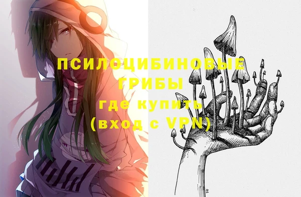 молекула духа Лабытнанги