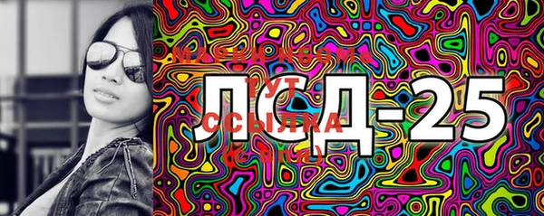 стафф Ладушкин