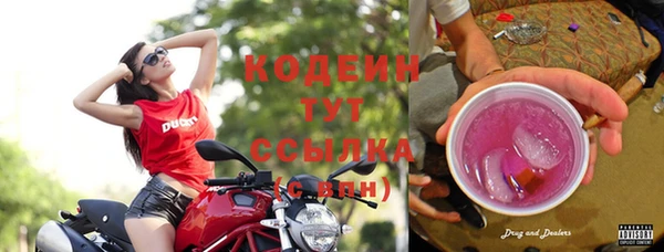 молекула духа Лабытнанги