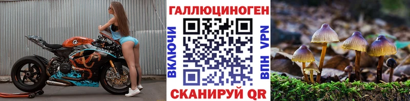 Псилоцибиновые грибы мухоморы  OMG как войти  Малмыж 