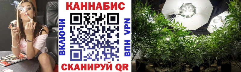 Каннабис OG Kush Малмыж